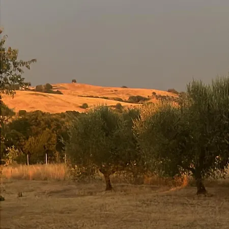 Podere Margherita Pensión Monte Cucco